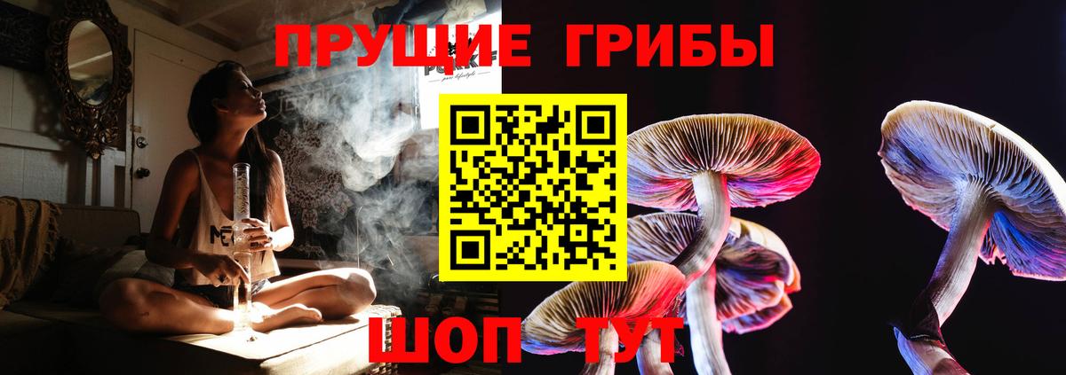 Нефтекамск  Псилоцибиновые грибы мицелий  Вход с VPN 